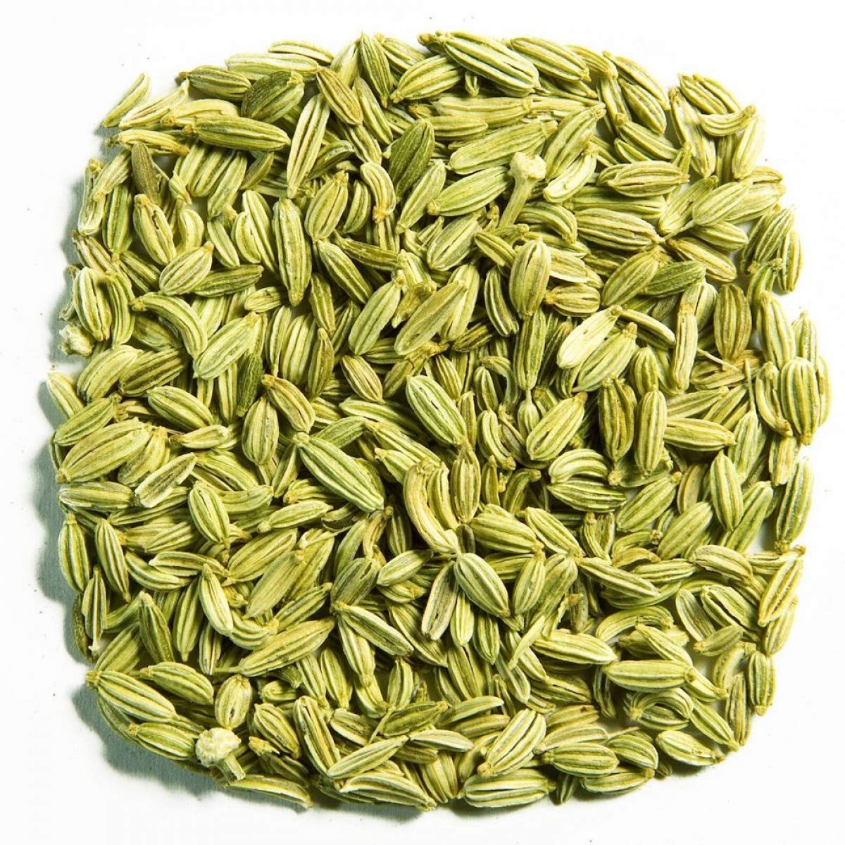FENNEL SEEDS 100G