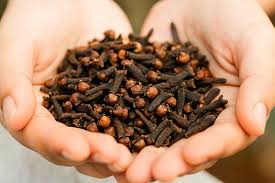 CLOVES 100G